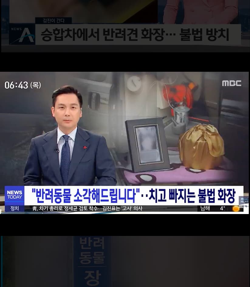 승합차에서 반려견 화장, 반려동물 소각 불법 화장 보도 화면