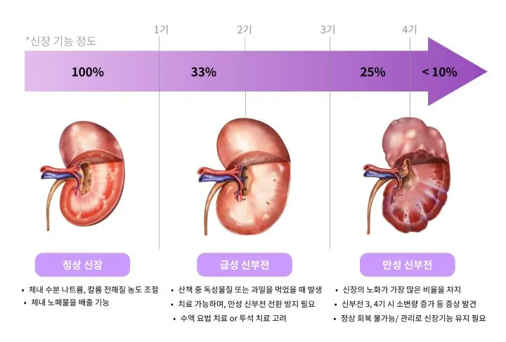 강아지 신부전증 시기별 정보 이미지